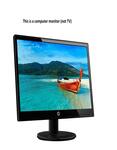 HP 18.5 inch (46.9 cm) LED Backlit Computer Monitor - HD, TN Panel with VGA Port - 19KA (Black)