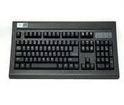 TVS ELECTRONICS USB Gold Keyboard (Black)