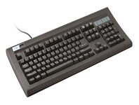 TVS Electronics Gold Keyboard